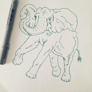 Elephant