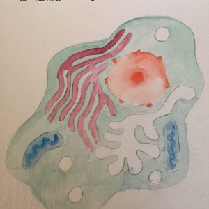 Retire Into Yourself